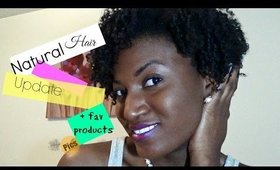 Natural Hair | Natural Hair Update 2015 | Type 4 Hair