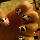 Cow nails