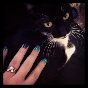 Modeling my nails on my kitty :P