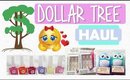Dollar Tree Haul #8 | More New Finds For Me! | PrettyThingsRock
