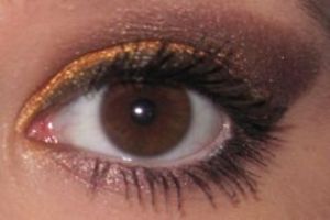 Gold and Brown Smoky Eye