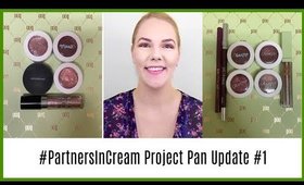 #PartnersInCream Project Pan Collab Update #1