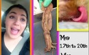 Scary Job Interview, Crazy House Party, & Dissection? Vlog May 17-20