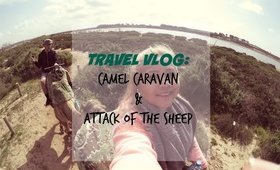 Travel VLOG: Morocco 2015 - Camel Caravan and Attack of the Sheep!