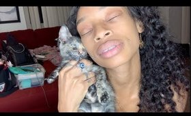 I ADOPTED A KITTEN FOR SPIRITUAL and SAVING a LIFE (Tyga's Story)