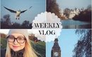 Weekly Vlog: Panic Attack, Park Hopping & Things Looking Up