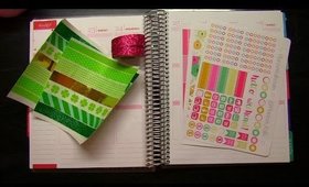 Plan with Me | February 22-28 | Planner Kate Pink and Gold Theme