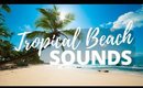 BEACH SOUNDS | [Tropical Beach Sounds for Relaxing] 🎧 🌊