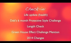 Checkin: Length Check, Protective Styling, GHE Challenge and 2014 Expectations