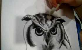 Me drawing an owl 4/4