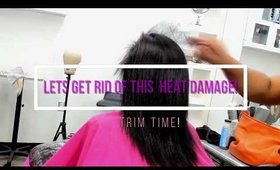 How to safely cut out heat damage 💕💕PRODUCT GIVEAWAY!!!