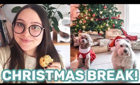 My Christmas Break in Slovenia & My Plans for 2020 | Vlogmas Episode 5