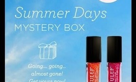 Julep Day & Night Summertime Big Box!