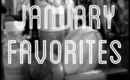 Monthy Favorites: January 2013