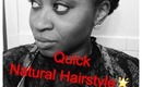 Natural Hair Saga: Super Simple Protective Style