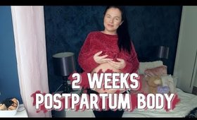 2 Weeks Postpartum Update - BODY UPDATE | Danielle Scott