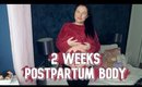 2 Weeks Postpartum Update - BODY UPDATE | Danielle Scott