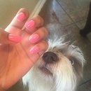 Pink Glitter Nails💅🏽💕🎀w/ baby🐶
