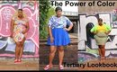 The Power of Color: Teritary Lookbook
