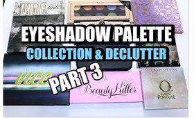EYESHADOW PALETTE COLLECTION & DECLUTTER PART 3