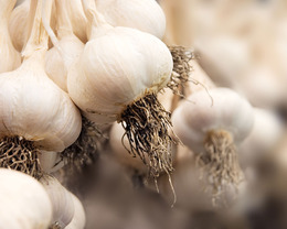 DIY Garlic Beauty Recipes
