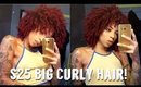 Outre Big Beautiful Hair | 4A Kinky Curly Wig Review ($25)