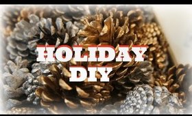 HOLIDAY DIY - Festive Pinecones