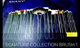 SHANY cosmetics brush set 24pc resena/USO DE CADA BROCHA/review