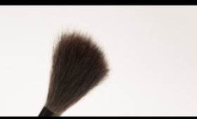 THE WAYNE GOSS HOLIDAY BRUSH 2017