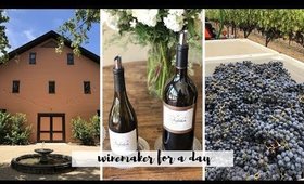 BEING WINEMAKER FOR A DAY AT TREFETHEN HARVEST BOOT CAMP 🍇🍷 VLOGTOBER DAY THREE