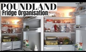 POUNDLAND FRIDGE ORGANISATION UK & SPEED CLEAN WITH ME