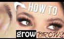 How To GROW Your EYEBROWS! | Morning/Night ROUTINE! | Kayleigh Noelle