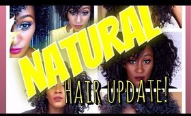 Mercy Hair Extensions ( Virgin Mongolian Kinky Curly) Natural Hair Winter Regimen and Products