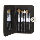 Essential Eye Kit with Case- 6 Pieces