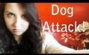 DOG ATTACK!