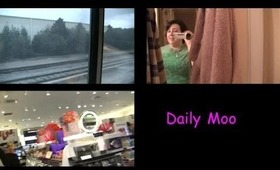 Daily Moo House of Mirrors