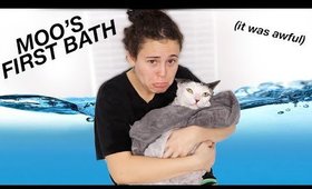 GIVING MY CAT HER FIRST BATH | AYYDUBS