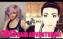2013 Hair Adventures | clittlecosmetics