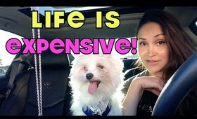 JULIES WORLD: Life Is EXPENSIVE!