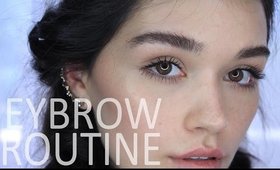 My eyebrow routine (updated)