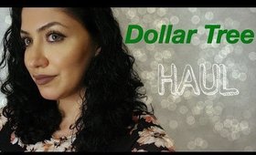 Dollar Tree Haul April 2017⎢Assyrian Beauty