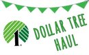 Dollar Tree Haul