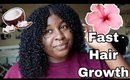 ULTIMATE HAIR REPAIR MASK FOR RAPID HAIR GROWTH | FAST HAIR GROWTH with Hibiscus | DIY Hair Mask