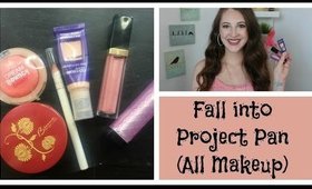 Fall Into Project Pan Collab