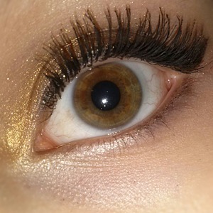 brown eyes with black and gold
