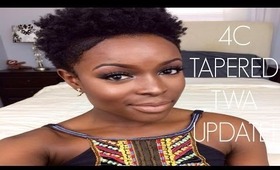 4 Month 4C Tapered Twa & Hairfinity Update