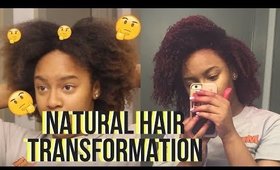 Natural Hair Color Transformation!!! |  ft. Influenster