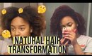 Natural Hair Color Transformation!!! |  ft. Influenster