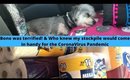 Dogs Got Groomed & My Stockpile (Vlog) | Tommie Marie