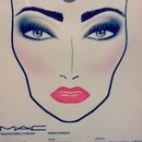 Face Chart Time! 